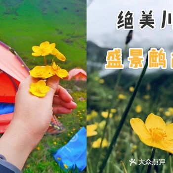 成都周边游超级川西冷僻露营圣地——鹧鸪山
