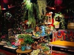 -房子红了鱼豆花重庆老火锅(广厦学院店)