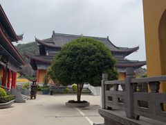 -海宁市观音寺