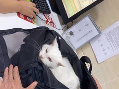 -北京观赏动物医院·24小时大型综合·猫专科·异宠专科