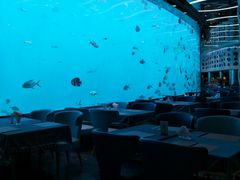 -瑞德姆美人鱼海底演艺主题餐厅(亚龙湾店)