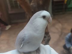 -正佳雨林生态植物园