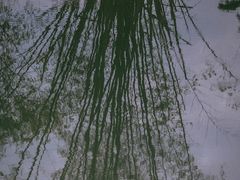 -靖西鹅泉风景区