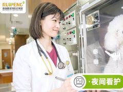 -瑞鹏宠物医院华南总院·夜诊·心脏科·骨科