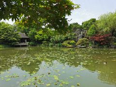 -杭州西子湖四季酒店-WL BISTRO西湖餐厅(灵隐路店)