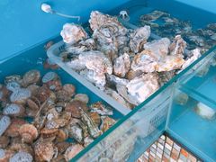-港畔赶海蒸汽海鲜烧烤自助(仙螺岛店)