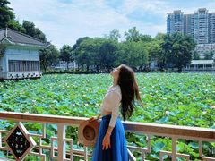 -荔湾湖公园