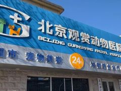 -北京观赏动物医院·24小时大型综合·猫专科·异宠专科