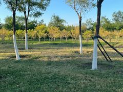 -天津东丽湖风景区