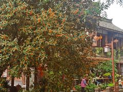 -崇州市街子古镇