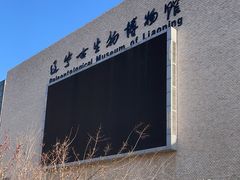 -辽宁古生物博物馆