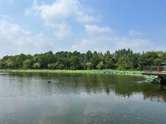 -上海怡沁园度假酒店