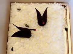 -BLACKSWAN黑天鹅(环球店)