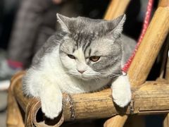 -山塘街