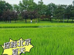-北坞公园