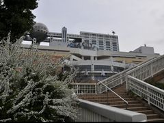 -台场海滨公园船码头