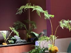 -芸山季·云南野生菌火锅(宝能环球汇店)
