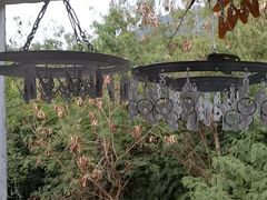 -广东花都香草世界旅游度假区