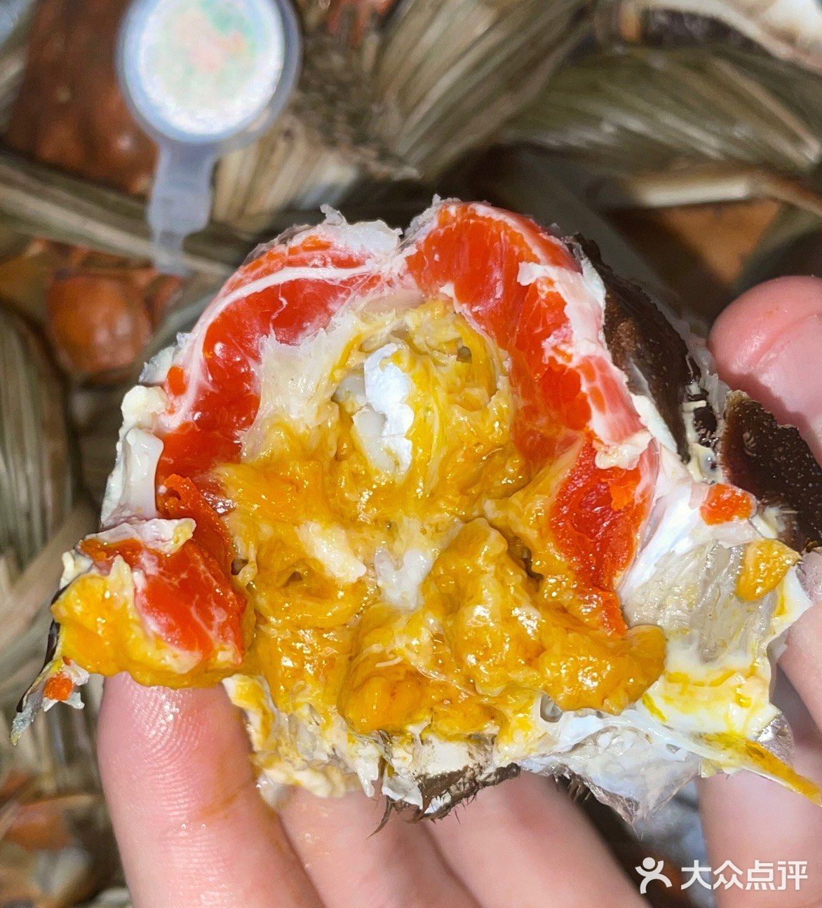 坐标:珠海·金湾 店名:白藤头水产批发市场 评分：