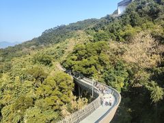 -福道