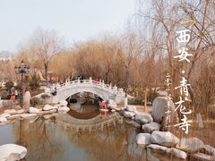 -西安青龙寺遗址景区