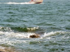 -老虎石海上公园