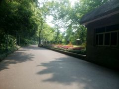 android_upload_pic-杭州花家山庄