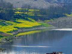 -舒家湾天主教堂