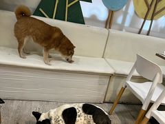 -小时光咖啡馆(北锣鼓巷店)