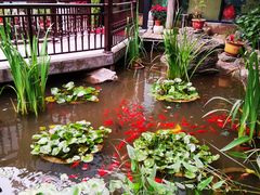 -聚缘堂·海鲜私房菜(松岭路店)