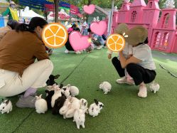 -萌宠亲子动物乐园(槐房万达店)