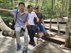 -五营红松林海景区