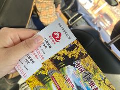 -千年银杏谷文化旅游区