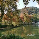 景色美 空气好