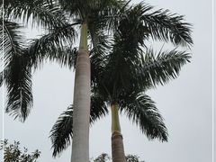 -广州市白云山风景名胜区