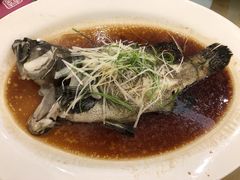 -稻香酒家·33年老字号·港式粤菜(富邦中心店)