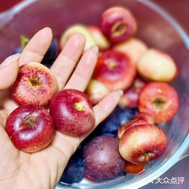 #随手拍#迷你水果局～mini fruits