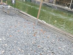 -DGE季风钓虾营地·团建·聚会
