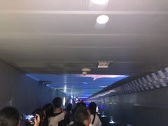 -白鹤梁水下博物馆