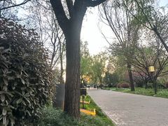 -唐城墙遗址公园