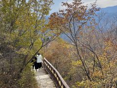 -圣莲山风景区