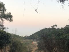 -梧桐山风景名胜区