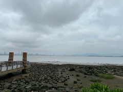 -深圳湾公园(南山区)