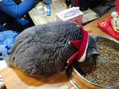 -小时光咖啡馆(开森度假森林店)