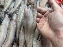 -老字号蛇口德记烧腊饭店·海鲜加工