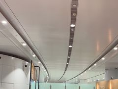 -麦当劳(北京大兴机场二层国内到达(安检外)店)