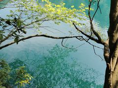 -石台牯牛降景区