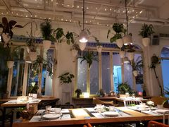 大堂-春树下·树屋花房西餐厅(罍街AS1980店)