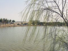 -广富林郊野公园