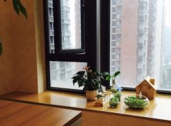 -成都苗方清颜专业祛痘